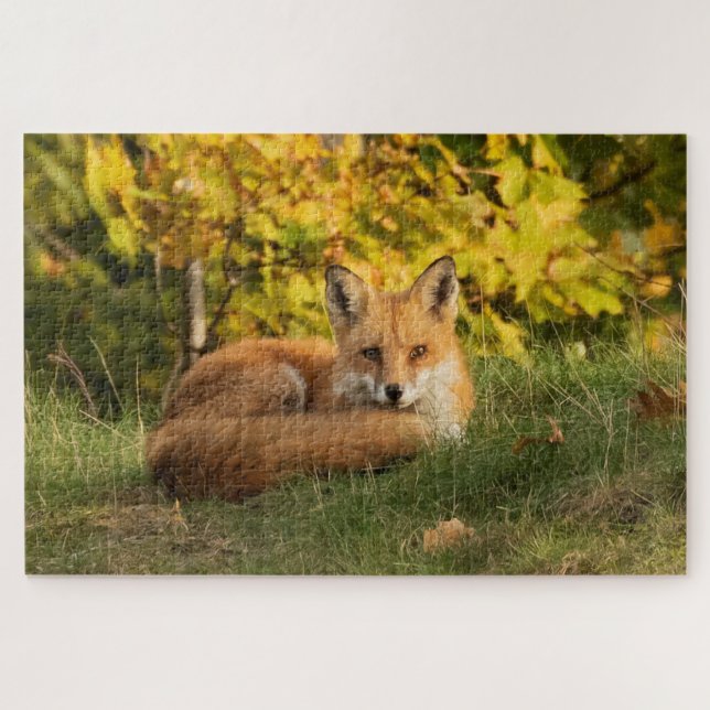 Puzzle Fall Fox (Horizontal)