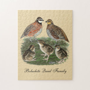 Puzzle Familia de codornices Bobwhite