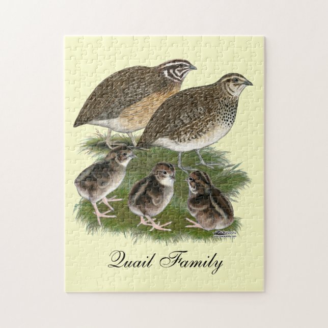 Puzzle Familia de codornices Coturnix (Vertical)