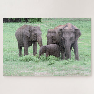 Puzzle familia de elefantes de Sri Lanka