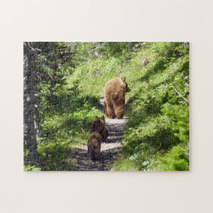 Puzzle Familia de osos pardos
