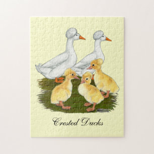 Puzzle Familia de patos crestados
