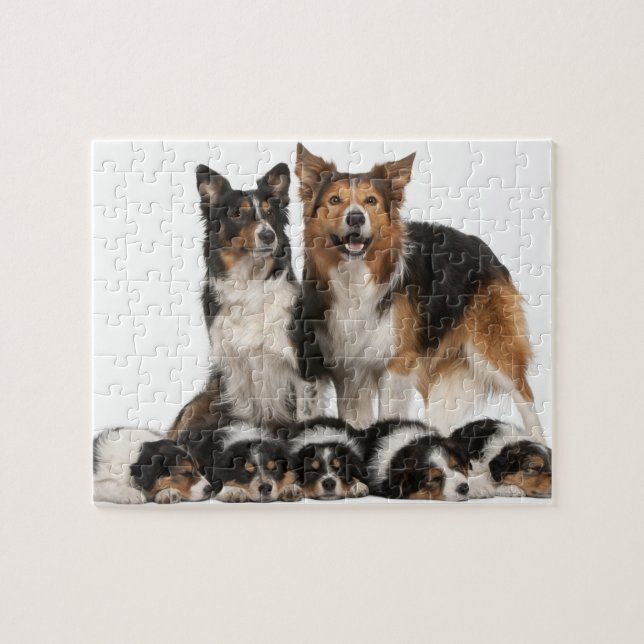 Puzzle Familia de redes fronterizas (Horizontal)