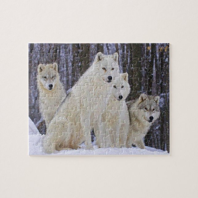 Puzzle Familia del lobo (Horizontal)