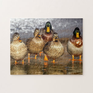 Puzzle Familia Duck