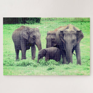 Puzzle familia elefante