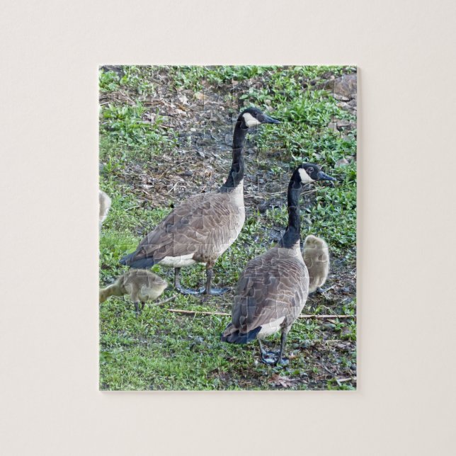 Puzzle Familia Geese de Canadá (Vertical)