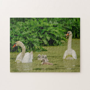 Puzzle Familia Swan