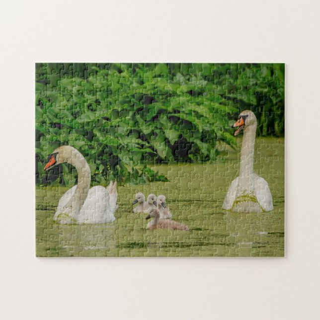 Puzzle Familia Swan (Horizontal)