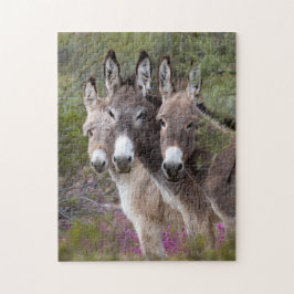 Puzzle Familia Wild Burro