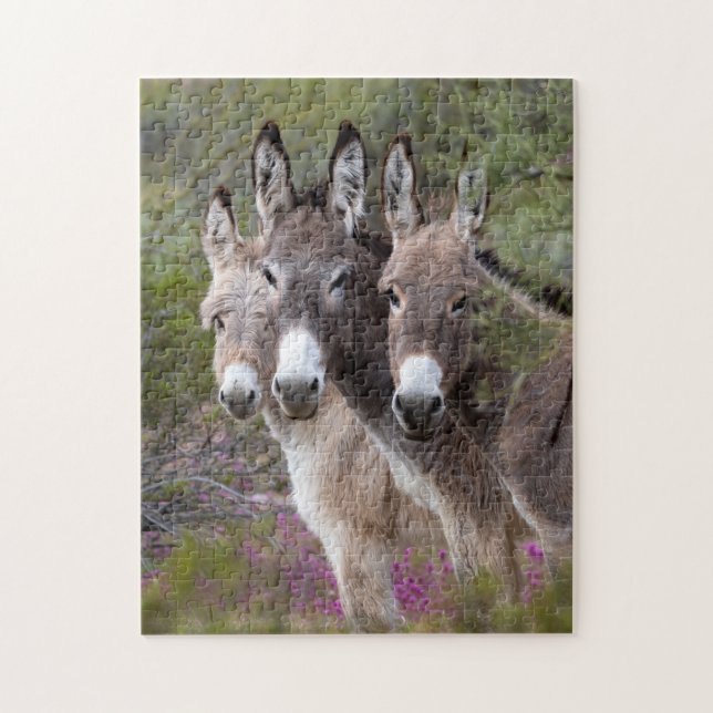 Puzzle Familia Wild Burro (Vertical)