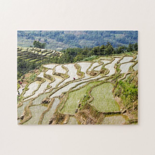 Puzzle Famosas terrazas de arroz yuanyang - Yunnan, China (Horizontal)