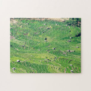 Puzzle Famosas terrazas de arroz yuanyang - Yunnan, China