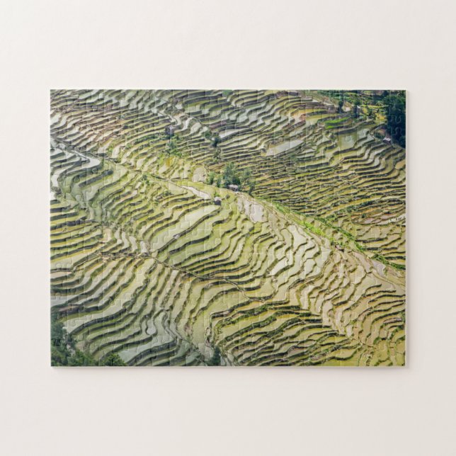 Puzzle Famosas terrazas de arroz yuanyang - Yunnan, China (Horizontal)