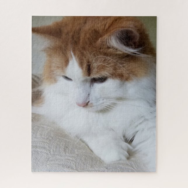 Puzzle (Fancy felino) Contemplación gitana: foto de gato (Vertical)