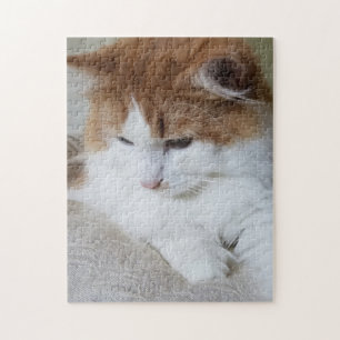 Puzzle (Fancy felino) Contemplación gitana: foto de gato