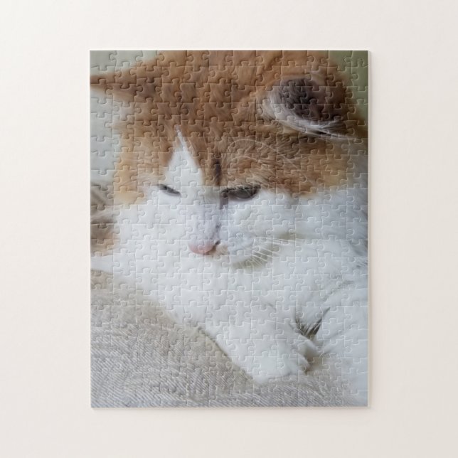 Puzzle (Fancy felino) Contemplación gitana: foto de gato (Vertical)