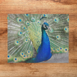 Puzzle Fantail Fantail Fethers Blue Peacock Fotografía