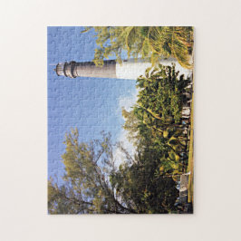 Puzzle Faro de la Llave de la Cabeza de Loggerhead, Tortu