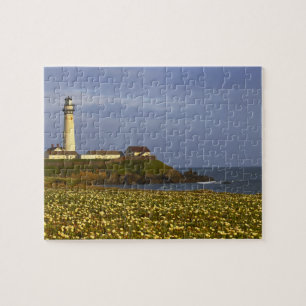 Puzzle Faro en Pigeon Point State Beach en San
