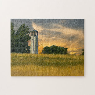 Puzzle Faro William Livingstone
