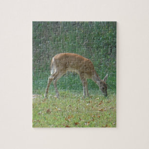 Puzzle faun, venado bebé en el lago Arrowhead
