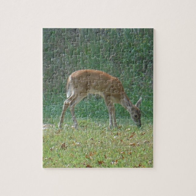 Puzzle faun, venado bebé en el lago Arrowhead (Vertical)