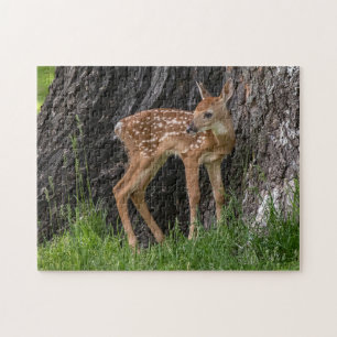 Puzzle Fawn