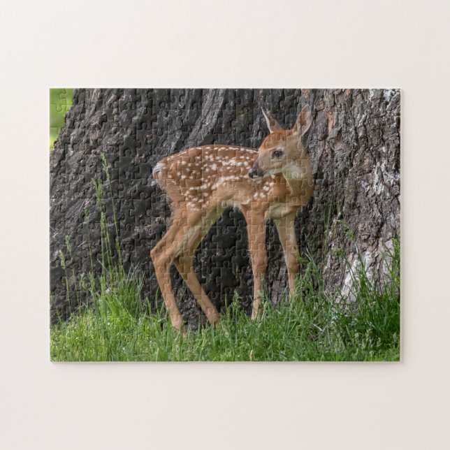 Puzzle Fawn (Horizontal)