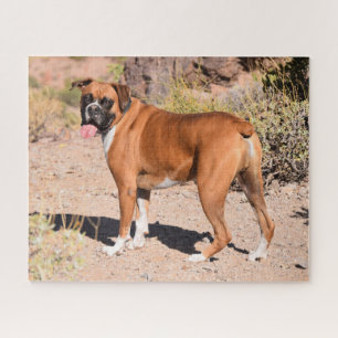 Puzzle Fawn Boxer Puppy Dog