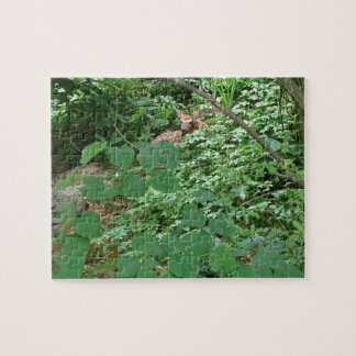 Puzzle ¡FAWN of Hearts! —