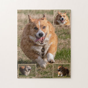 Puzzle Felices caras corriendo Corgis