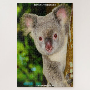 Puzzle Felicitaciones de cumpleaños Koalas australianos