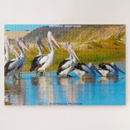 Puzzle Felicitaciones de cumpleaños pelícanos australiano