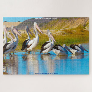 Puzzle Felicitaciones de cumpleaños pelícanos australiano