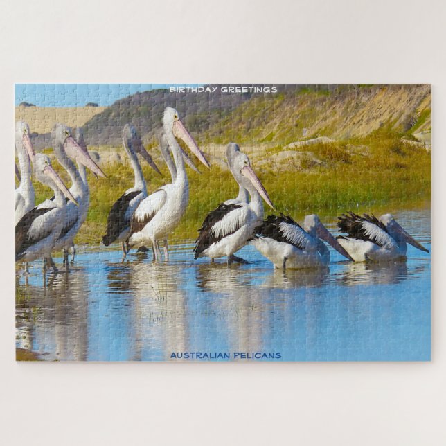 Puzzle Felicitaciones de cumpleaños pelícanos australiano (Horizontal)