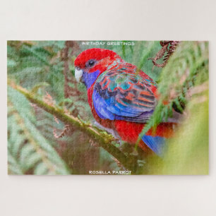 Puzzle Felicitaciones de cumpleaños Rosella Parrot