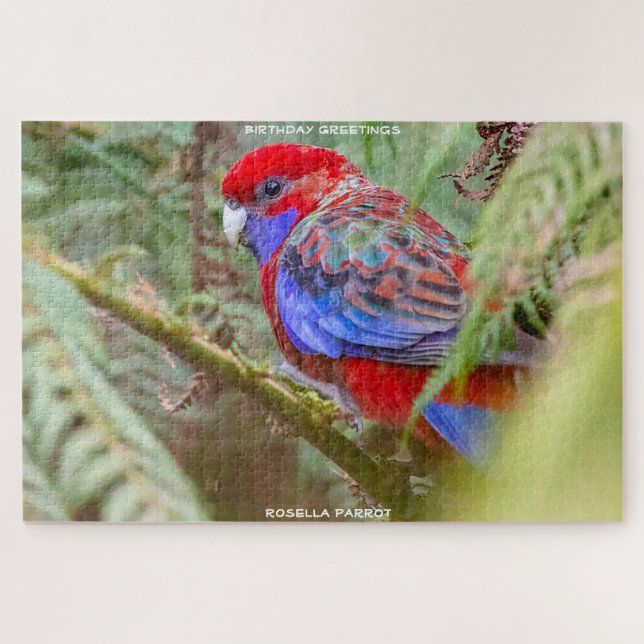 Puzzle Felicitaciones de cumpleaños Rosella Parrot (Horizontal)