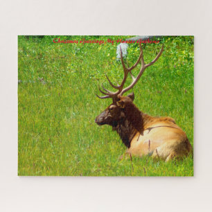 Puzzle Felicitaciones de Navidad a mi encuentro de cazado