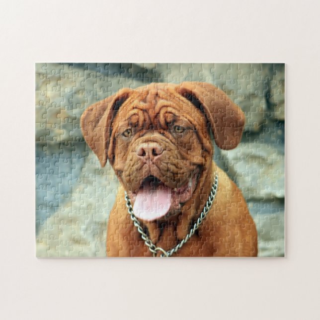 Puzzle Feliz Dogue de Burdeos (Horizontal)