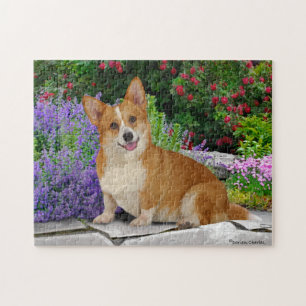 Puzzle "Feliz pequeño Corgi"