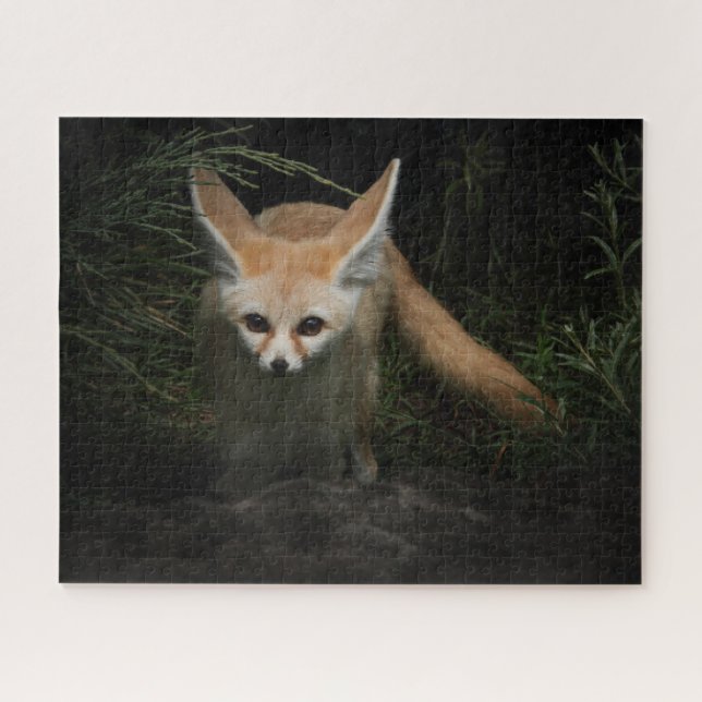Puzzle Fennec Fox (Horizontal)