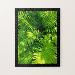 Puzzle Fern