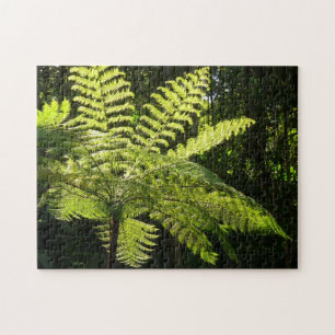 Puzzle Fern arbolado en la selva tropical