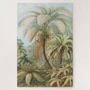 Puzzle Fern, Filicinae Laubfarne, de Ernst Haeckel