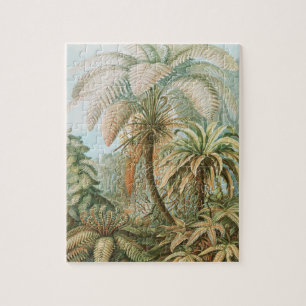 Puzzle Fern, Filicinae Laubfarne, de Ernst Haeckel