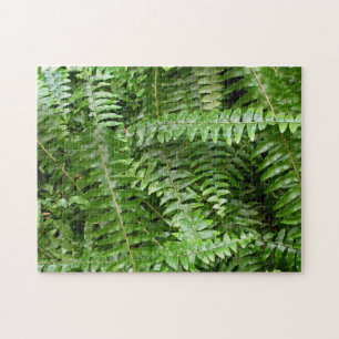 Puzzle Fern Fronds I Green Nature