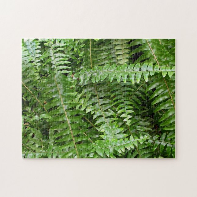 Puzzle Fern Fronds I Green Nature (Horizontal)