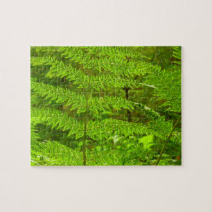 Puzzle Fern Fronds III Naturaleza verde Botánica