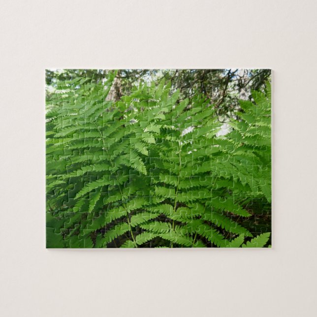 Puzzle Fern Fronds IV Naturaleza verde Botánica (Horizontal)